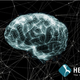 Illustration for article titled Europes $1.6 Billion Human Brain Project Is On The Verge Of Collapse